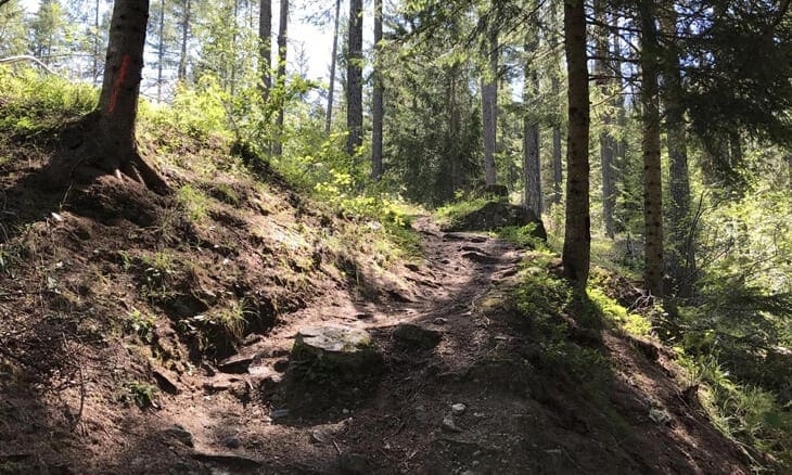 Tracciato del sentiero Botanico verso il rifugio