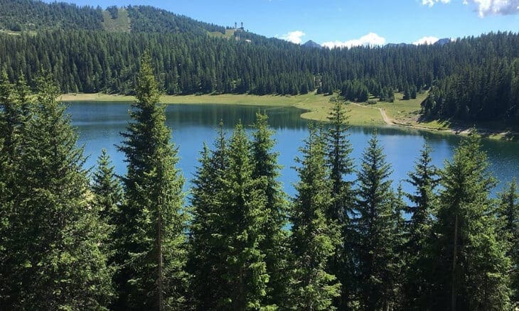 Lago Palù visto dal rifugio