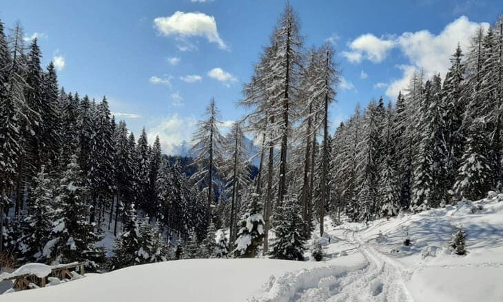 Sentiero per ciaspolate per il rifugio