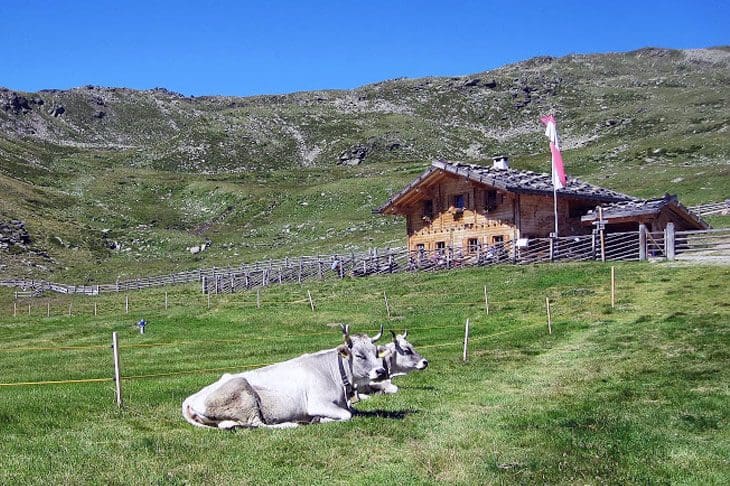 Malga Marschnell Alm